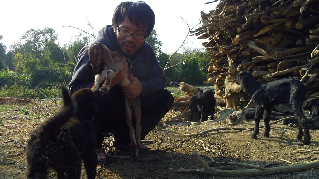 Nature Care Village- Rajaji National Park Rishīkesh Dış mekan fotoğraf