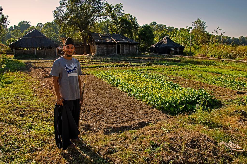 Nature Care Village- Rajaji National Park Rishīkesh Dış mekan fotoğraf