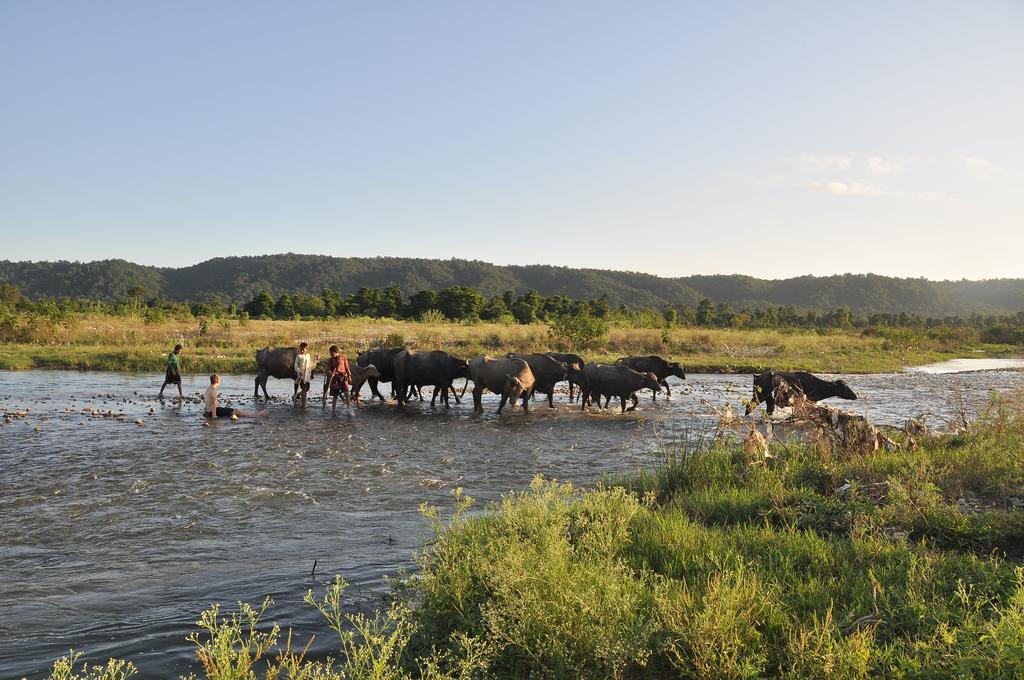 Nature Care Village- Rajaji National Park Rishīkesh Dış mekan fotoğraf