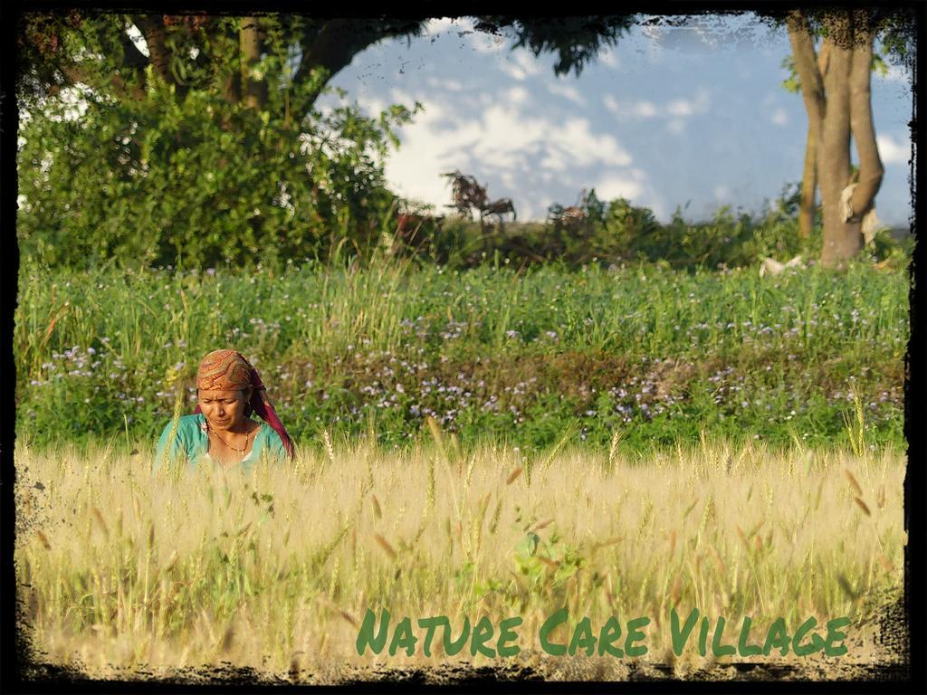 Nature Care Village- Rajaji National Park Rishīkesh Dış mekan fotoğraf