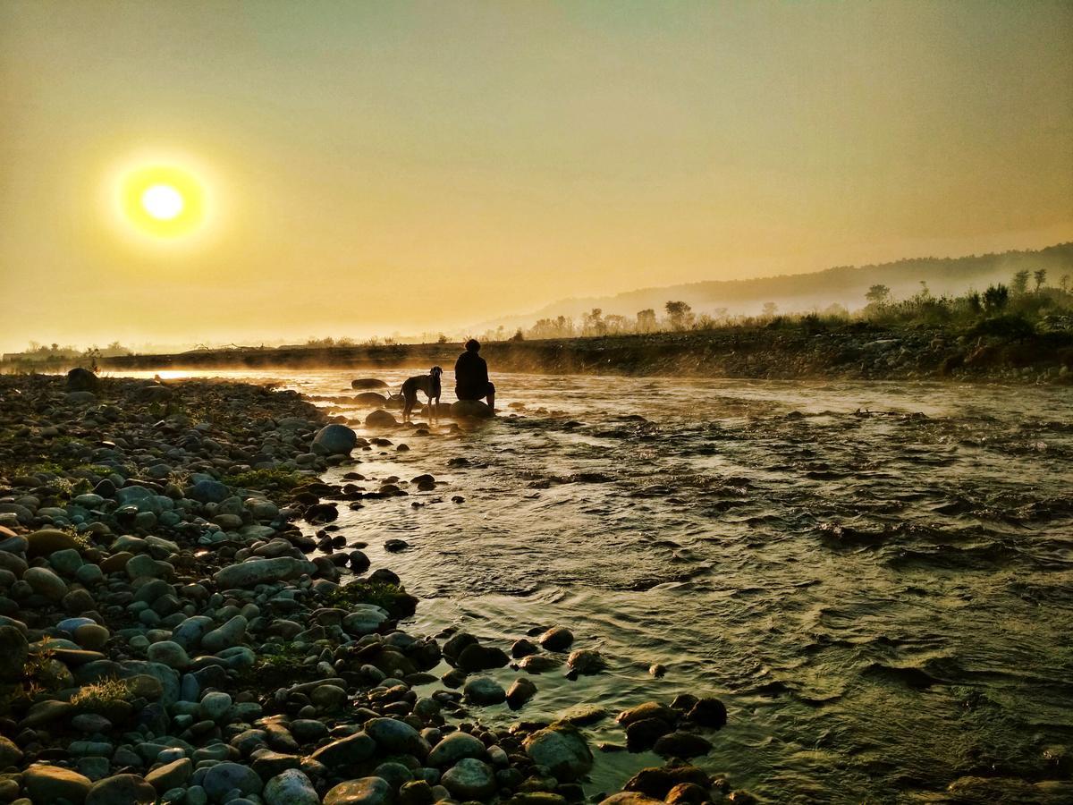 Nature Care Village- Rajaji National Park Rishīkesh Dış mekan fotoğraf
