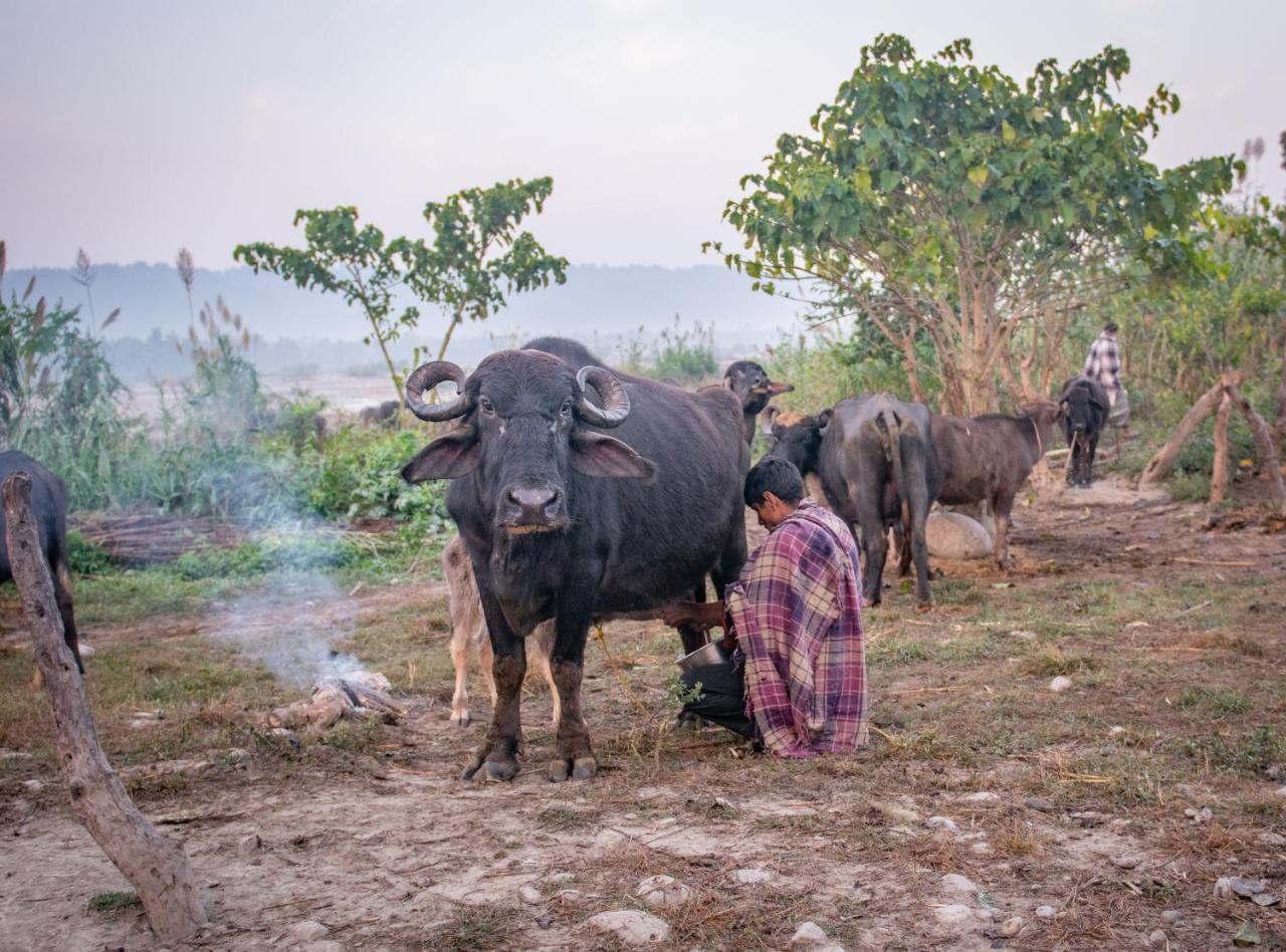Nature Care Village- Rajaji National Park Rishīkesh Dış mekan fotoğraf