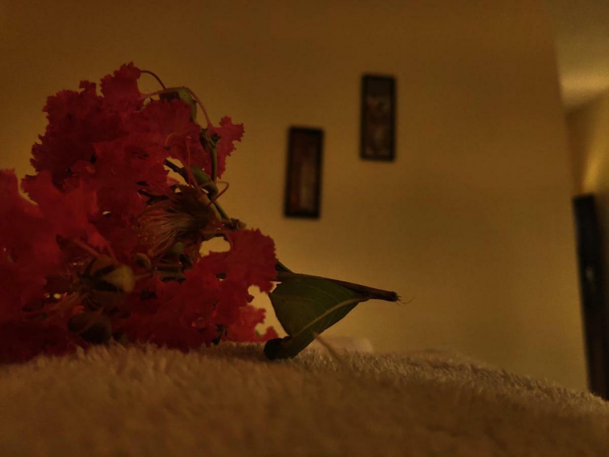 Nature Care Village- Rajaji National Park Rishīkesh Dış mekan fotoğraf
