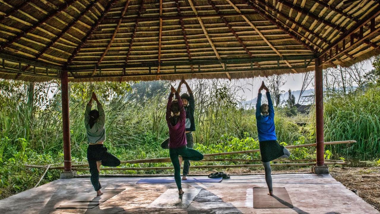 Nature Care Village- Rajaji National Park Rishīkesh Dış mekan fotoğraf